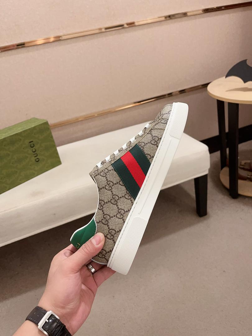 GG Gucci Ace