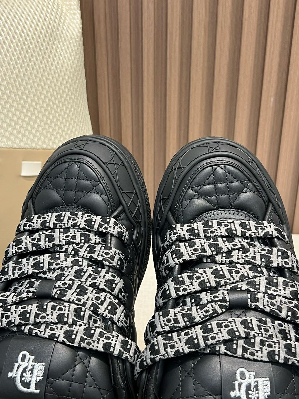 Dior B9S Skater