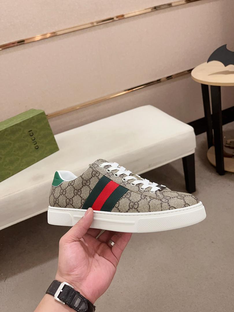 GG Gucci Ace